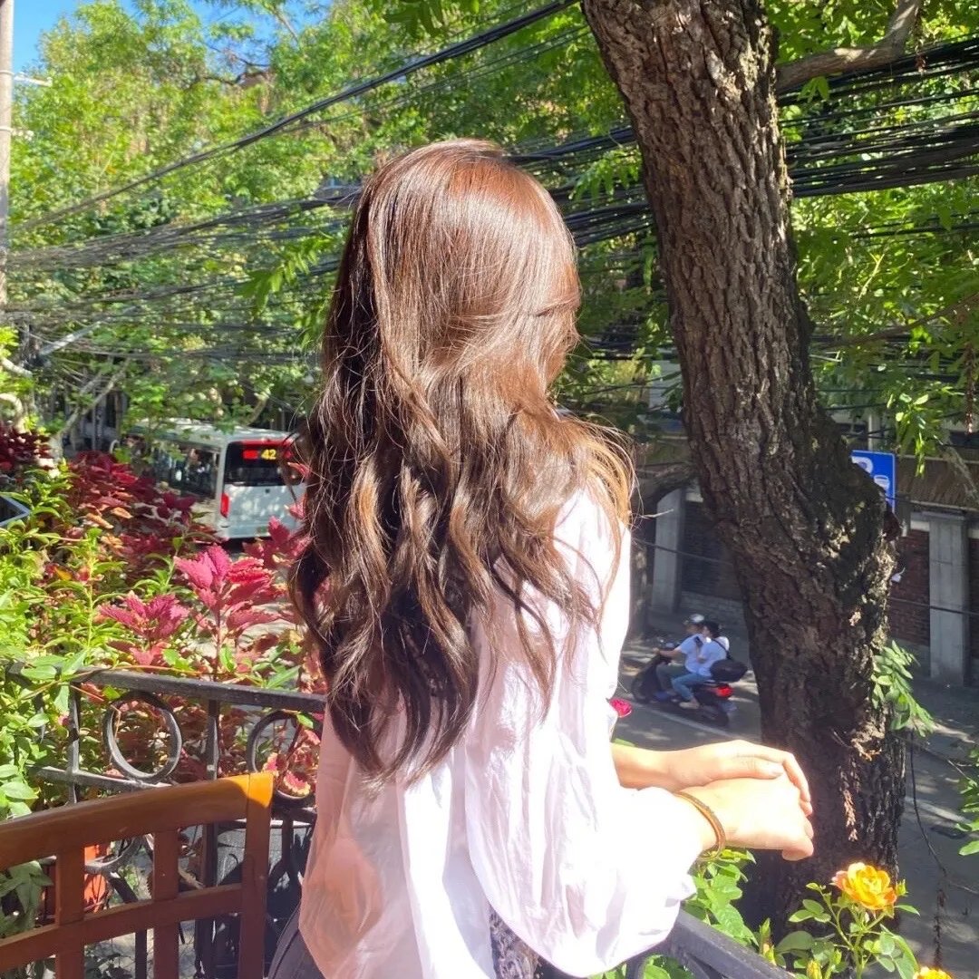 夏树